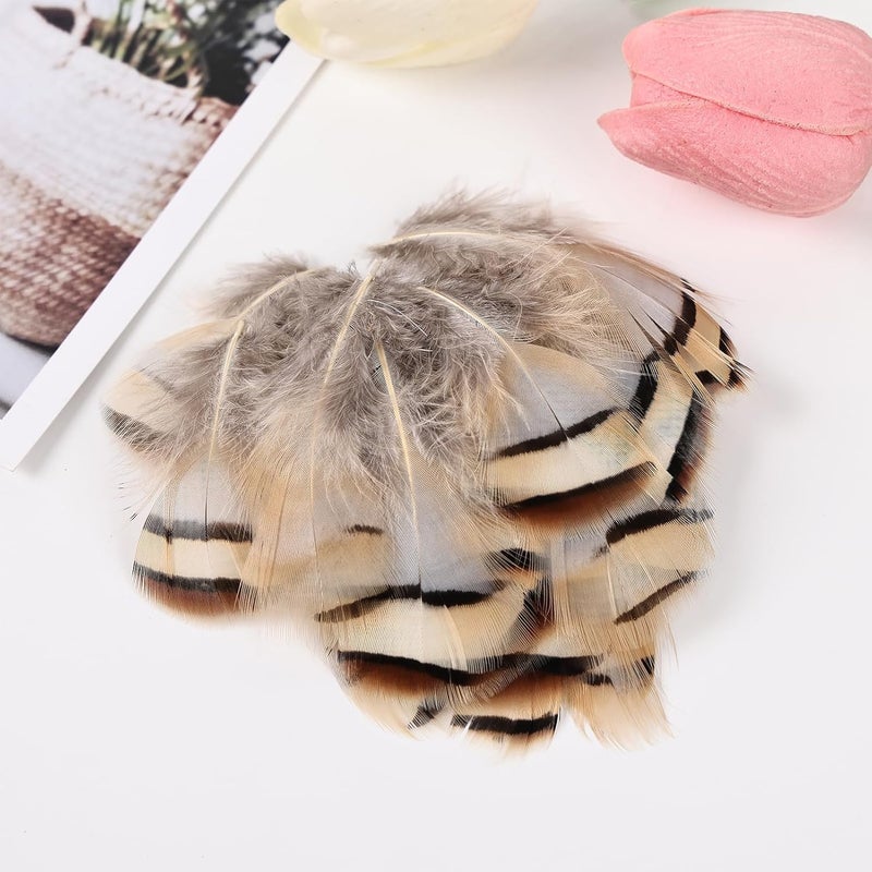 Daieeparty 270pcs Small Pheasant Feathers 9 Style Mixed Feathers Natural Feathers for Crafting Wedding Dream Catcher Hats Decoration - Image 5